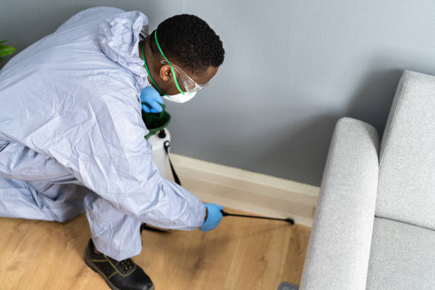 Professional Pest control in Davison, MI